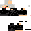 Texture for swan
