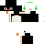 Texture for pingu2