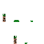 Texture for ioda