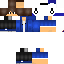 Texture for blauw philip