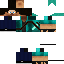 Texture for steve