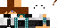 Texture for pandaboy