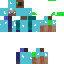 Texture for daimond_steve