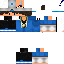 Texture for nilotay11