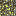 Texture for uranium_ore