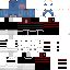 Texture for Bulk Skin