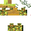 Texture for e