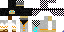 Texture for skyhawk220