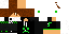 Texture for GMsKiN