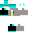 Texture for Cat Erwin