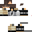Texture for steve