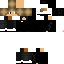 Texture for DanNogCam Ds