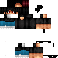 Texture for N4SS17 v0.1