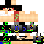 Texture for dededede