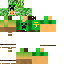 Texture for Creeper-tetora
