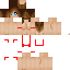 Texture for CSMP