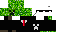 Texture for Epic Tux Creeper
