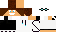 Texture for matisp6