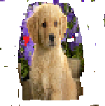 Texture for COSMIC COCO PACK