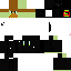 Texture for Aps Eips 1