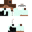 Texture for Steve