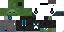 Texture for CFCC