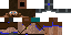 Texture for miner me