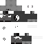 Texture for xGameleomc