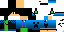 Texture for LEO player