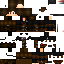 Texture for Dom