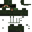 Texture for steve cammo