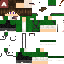 Texture for Firontei Green Steve 2