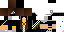 Texture for MISTIK
