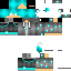 Texture for Maxel