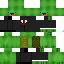 Texture for Turtle with suit