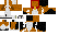 Texture for beagle