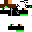 Texture for steve