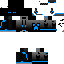 Texture for endermite