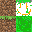 Texture for Grass_Block