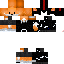 Texture for  minetoyo23