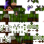 Texture for Tarrb✦Starr Quidditch