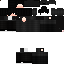 Texture for Raphael