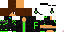 Texture for Figo 