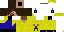 Texture for Fevttrix