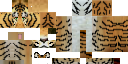 Texture for Tiger