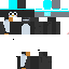Texture for K_pEnguin_P Space