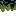 Texture for Void plant leaves