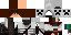 Texture for Assassin