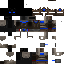 Texture for blue knight