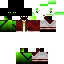 Texture for cem_33